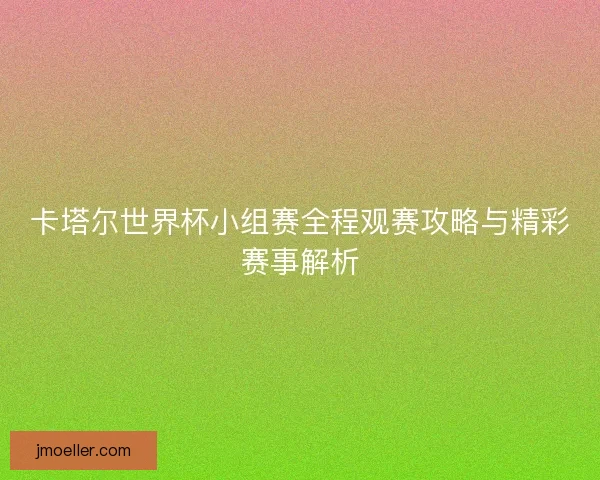 卡塔尔世界杯小组赛全程观赛攻略与精彩赛事解析